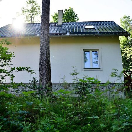 Gorski Domek Kolo Karpacza- Apartamentuj Esterno foto